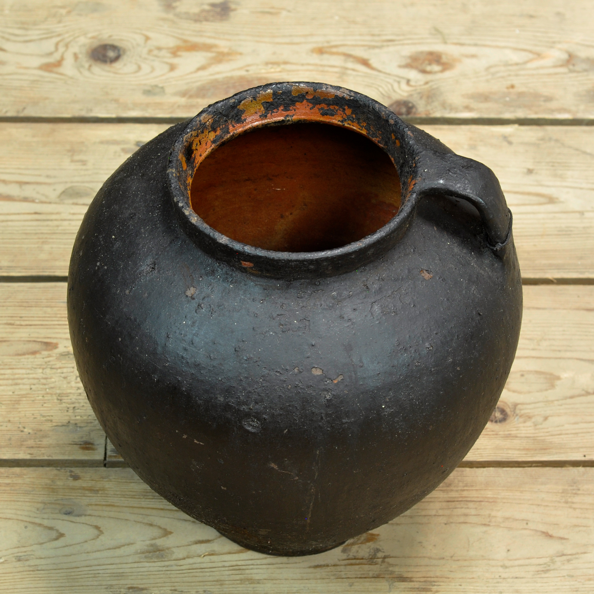 26192_pot_6